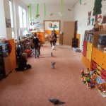 phoca_thumb_m_arodjnice 101 Fotogalerie